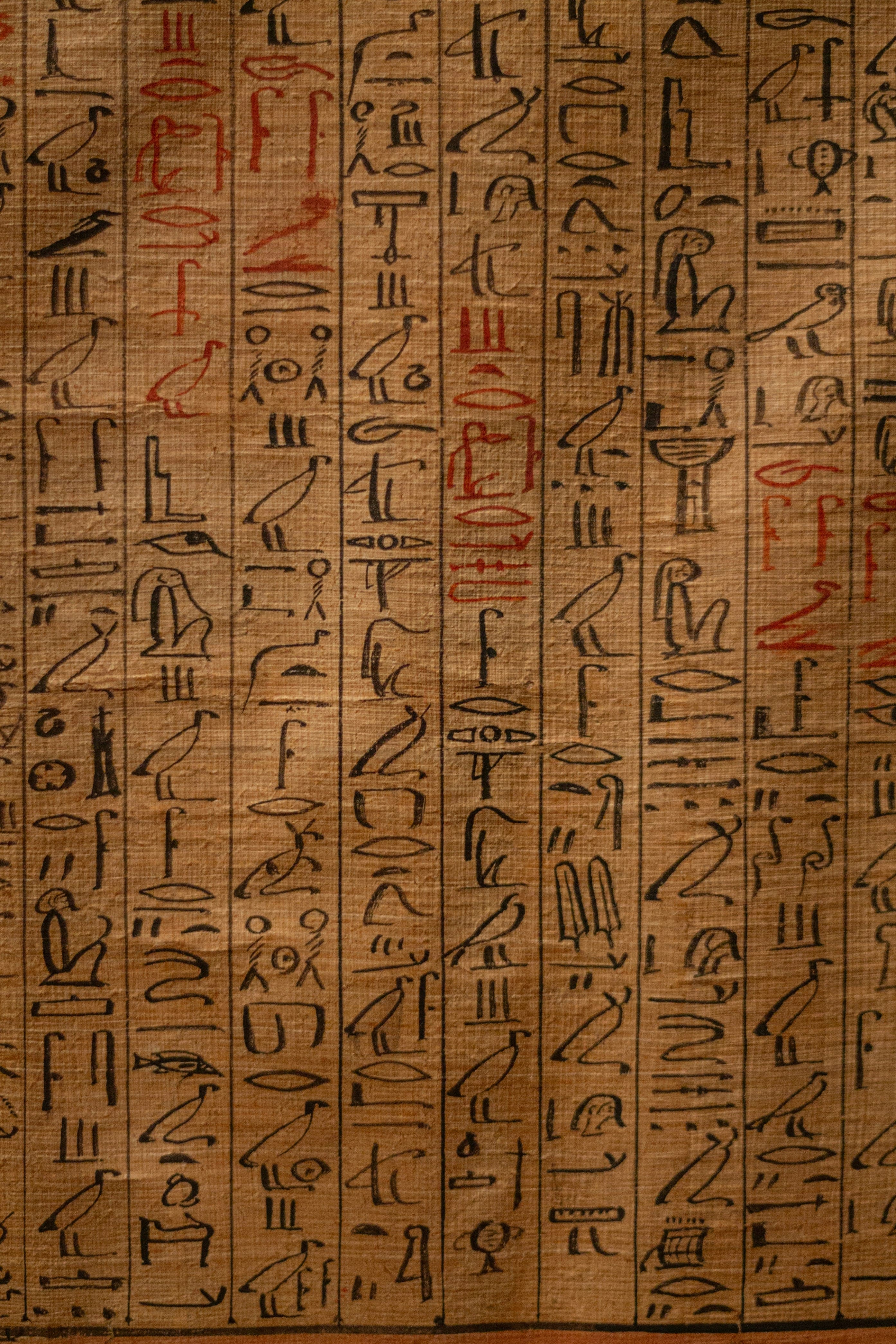 Hiéroglyphes